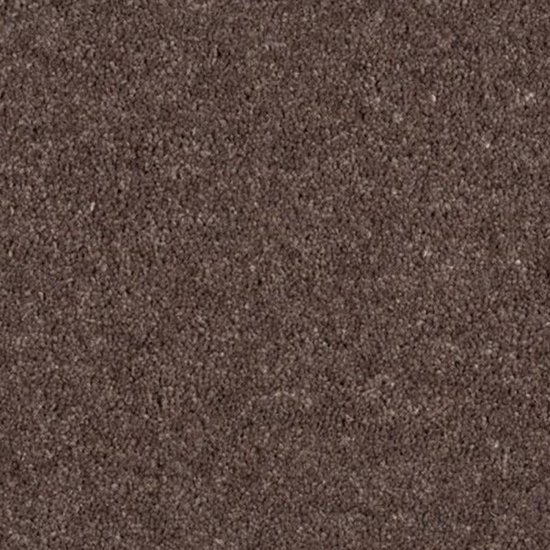 Norfolk & Co. Carpets Aldiss Tradition Twist in Mocha Carpet