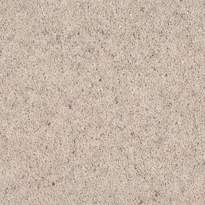 Norfolk & Co. Carpets Aldiss Tradition Twist in Oatmeal Carpet