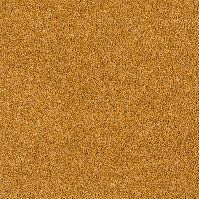 Norfolk & Co. Carpets Aldiss Tradition Twist in Old Gold Carpet