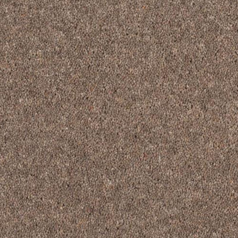 Norfolk Aldiss Tradition Twist in Wild Mink Carpet