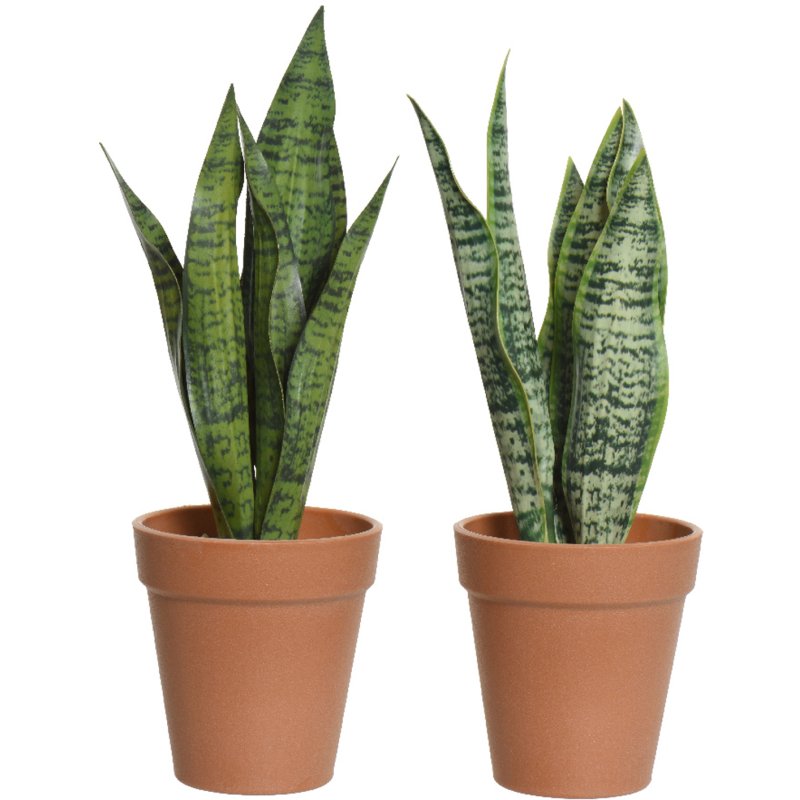 Kaemingk Assorted Faux Sansevieria Plant in Pot