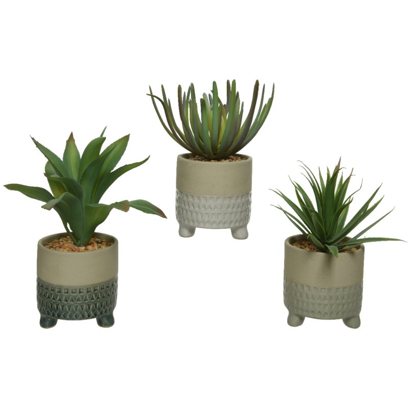 Kaemingk Plastic Potted Faux Succulent