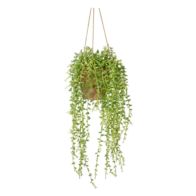 Gallery Direct Hanging Senecio with Cement Pot