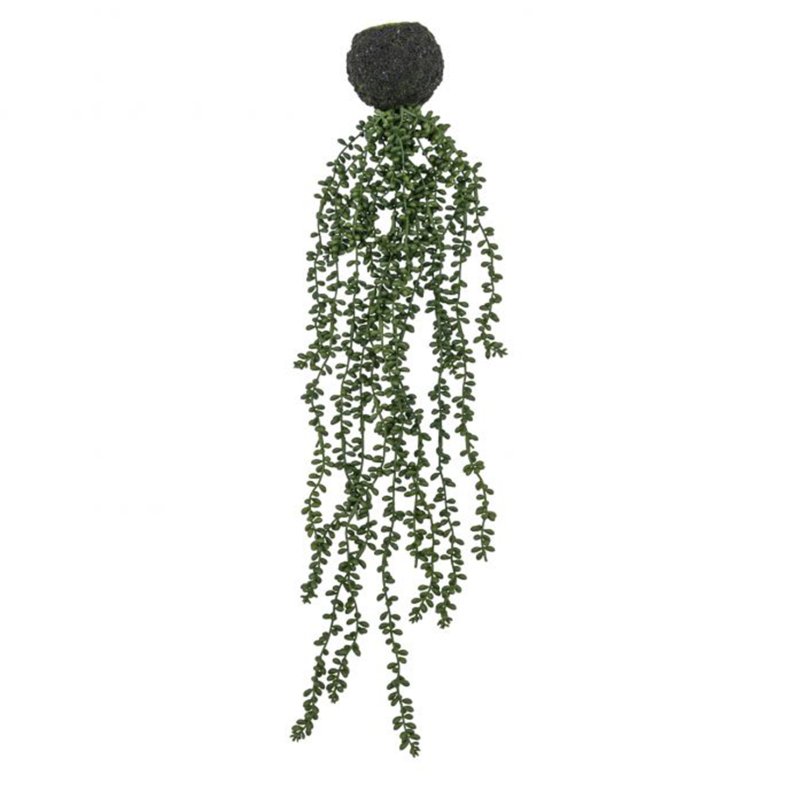 Gallery Direct String of Pearls in Soil