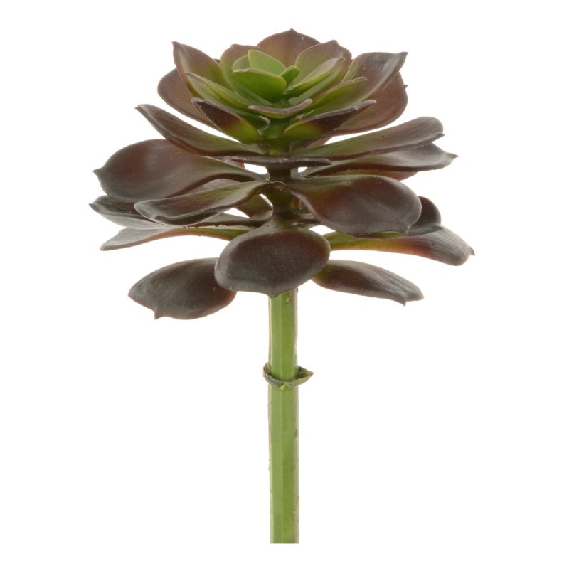 Floralsilk Floralsilk Succulent Camellia Pick