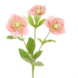 Floralsilk Mauve & Green Hellbore Spray image of the flower on a white background