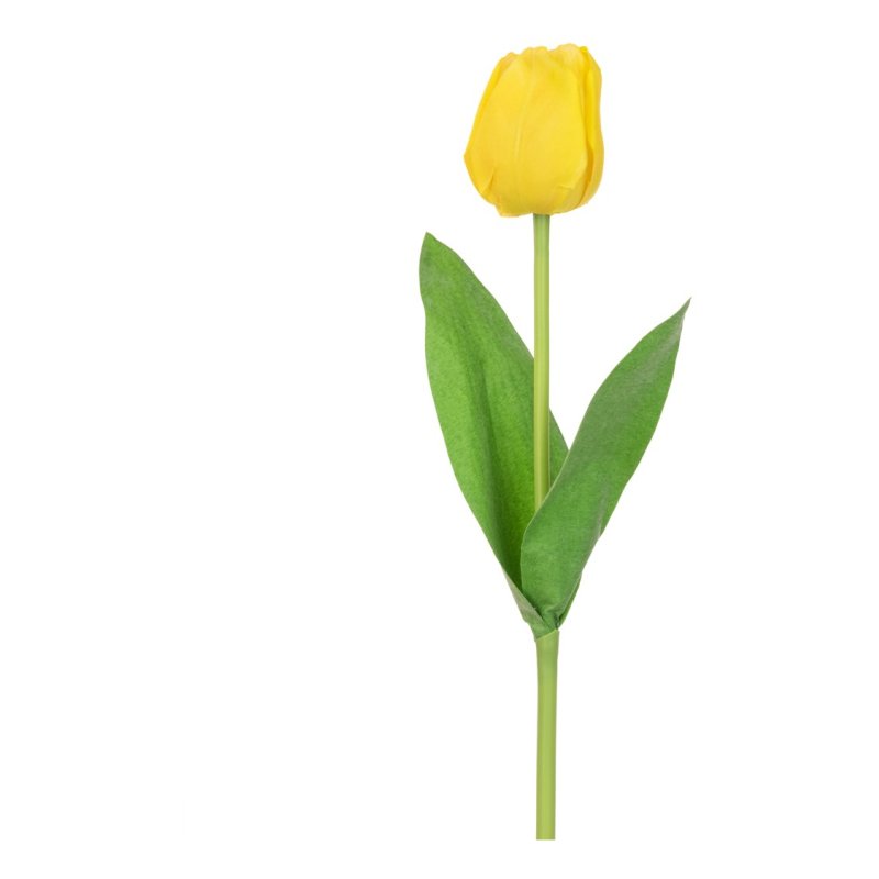 Floralsilk Yellow Triumph Tulip image of the flower on a white background