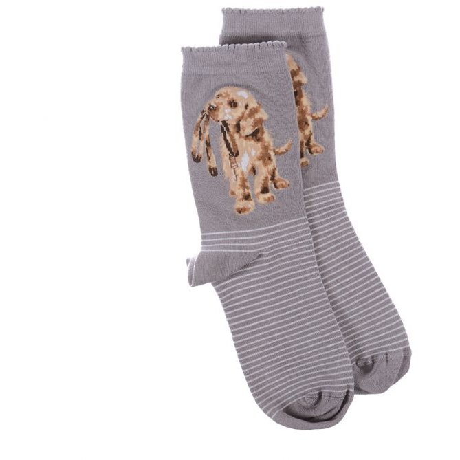 Wrendale Wrendale Grey Hopeful Labrador Socks