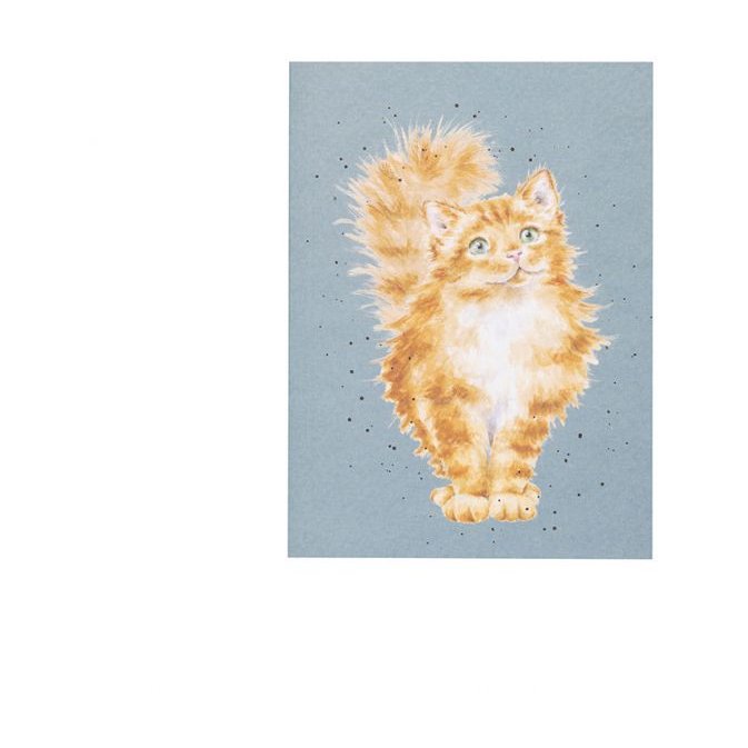 Wrendale Wrendale Just Purrr-Fect Cat A6 Notebook