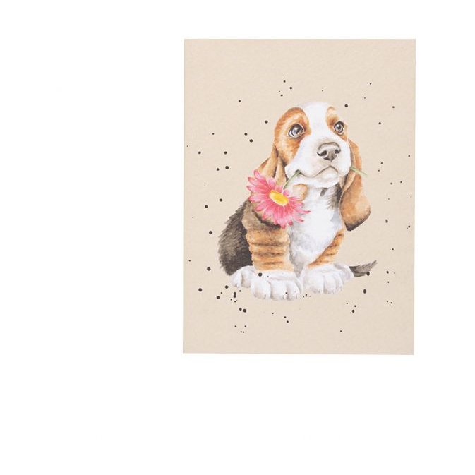 Wrendale Wrendale Just For You Basset Hound A6 Notebook