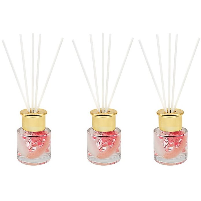 Pampas Pink Diffuser Set - on a white background