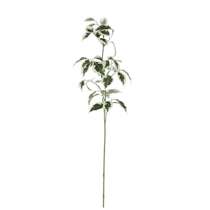 Gallery Direct Gallery Direct Variegated Ficus Stem Green