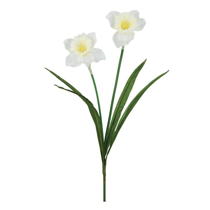 Floralsilk White Daffodil on a white background