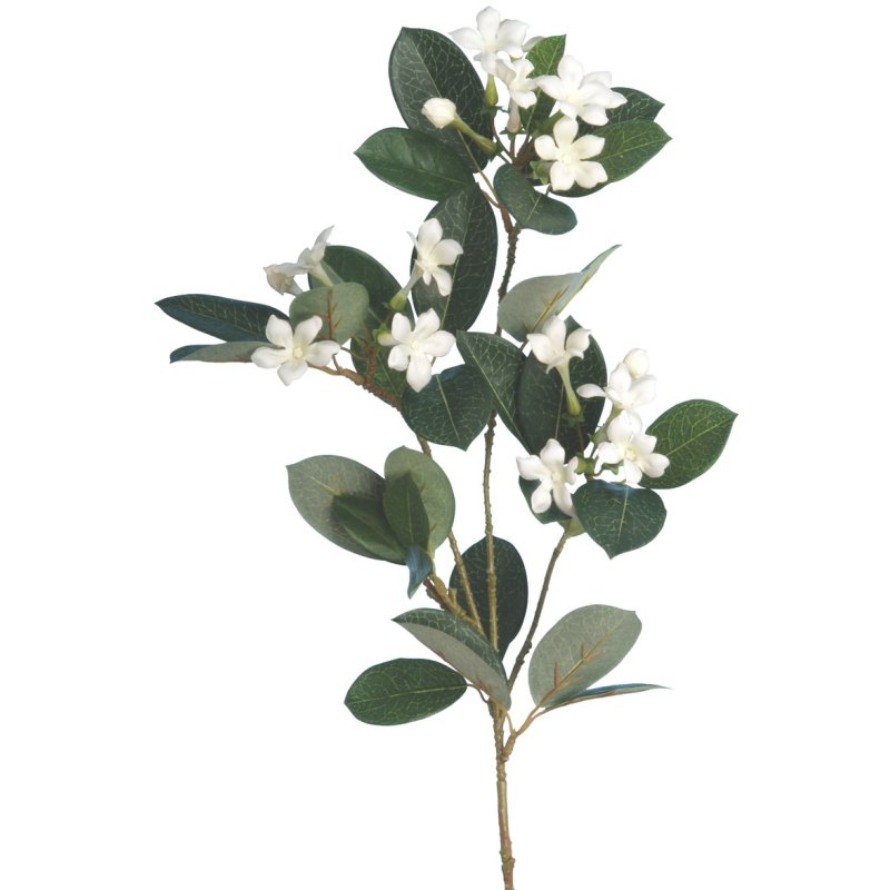 Floralsilk White Stephanotis on a white background