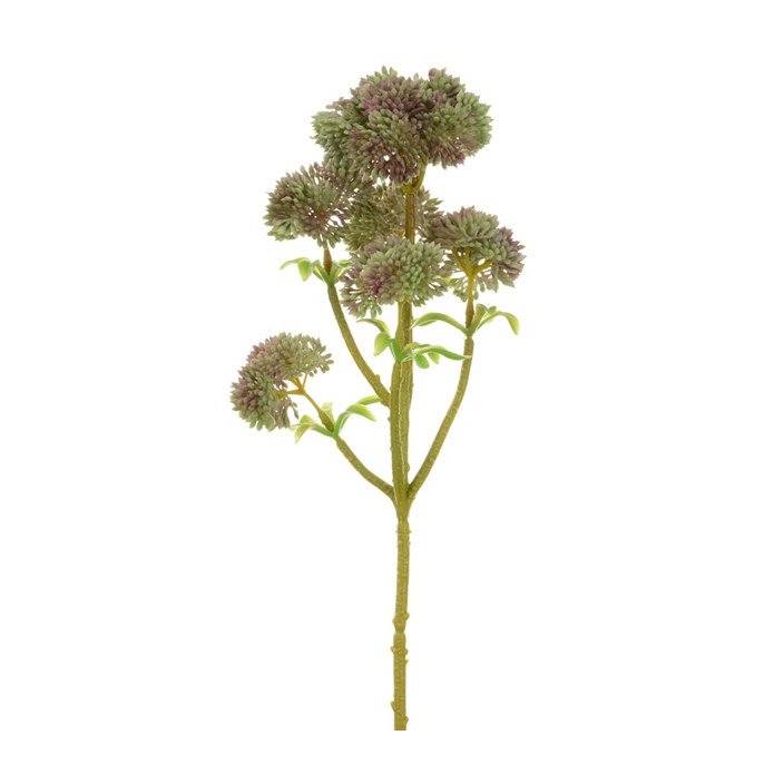 Floralsilk Angelica on a white background