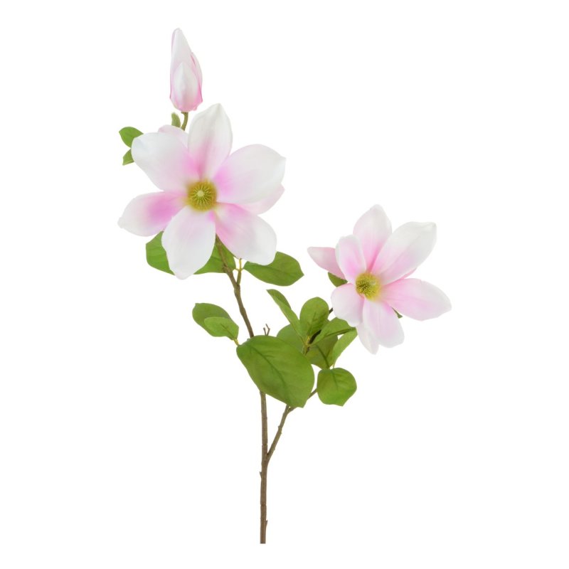 Floralsilk Pink Magnolia Wilsonii on a white background