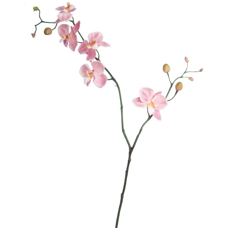 Floralsilk Mini Pink Phalaenopsis on a white background