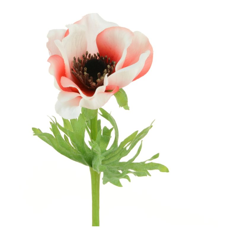 Floralsilk Pale Red Anemone Spray on a white background