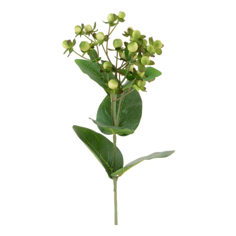 Floralsilk Cream Green Hypericum on a white background