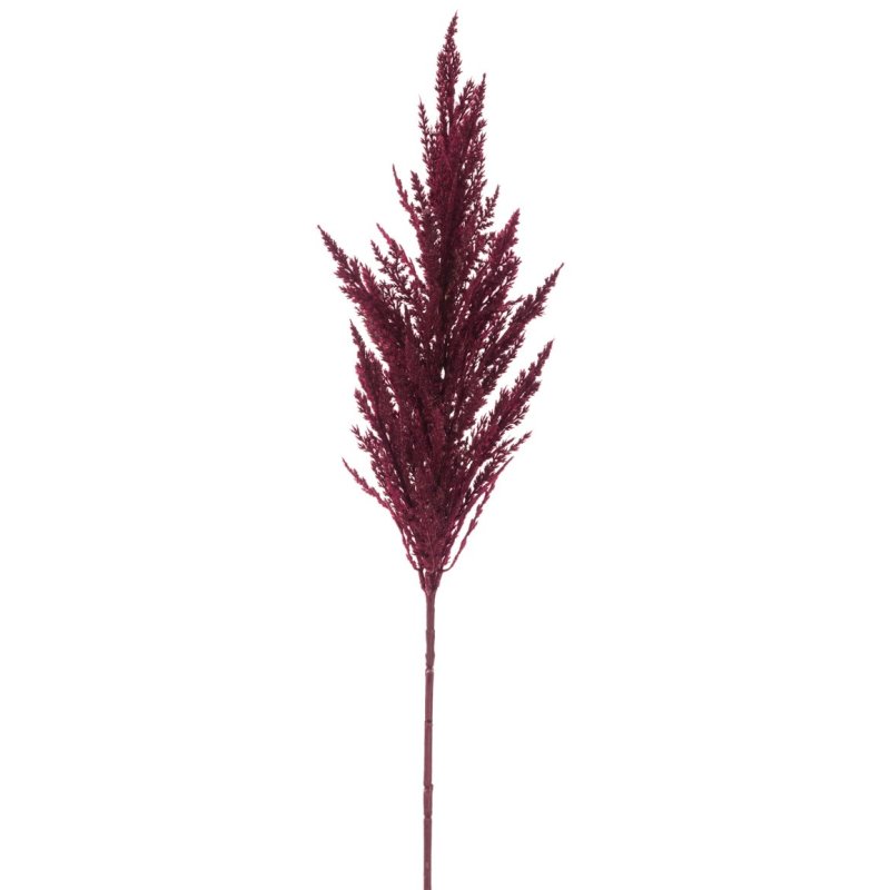 Floralsilk Burgundy Pampas Grass Stem on a white background