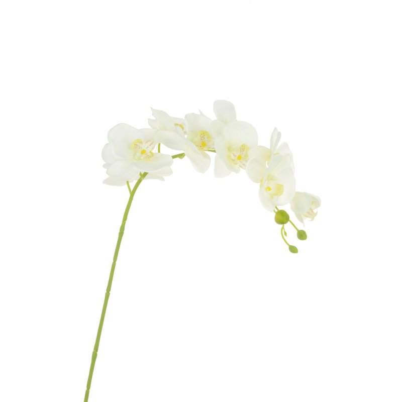 Floralsilk Cream Yellow Phalaenopsis image of the flower on a white background