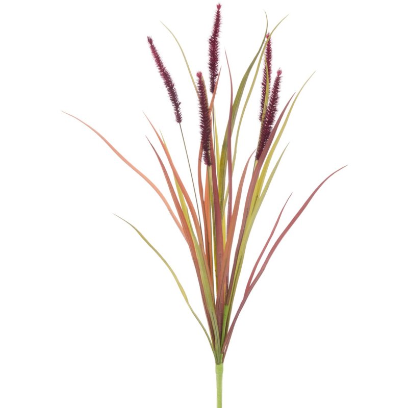 Floralsilk Fountain Grass on a white background