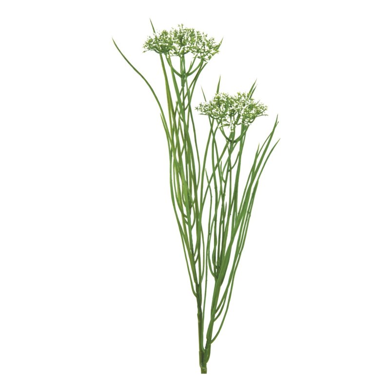 Floralsilk Queen Annes Lace with Grass on a white background