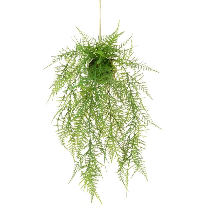 Floralsilk Leather Fern Hanger on a white background