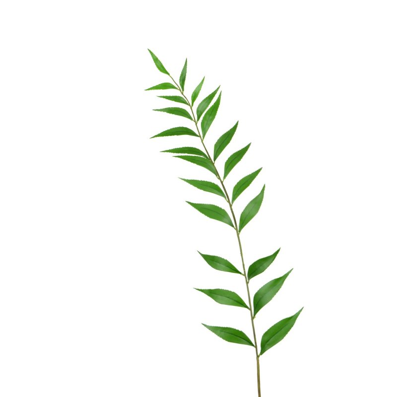 Floralsilk Sword Leaf Fern Single on a white background