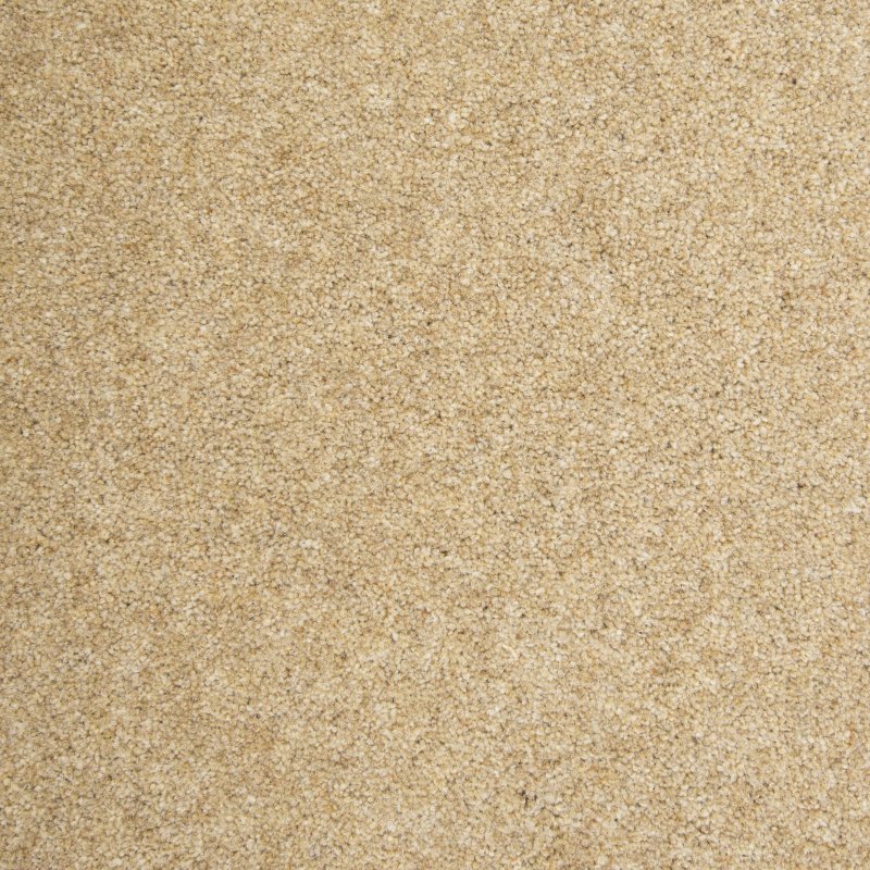 Penthouse Kerry in Biscuit Crumb Carpet