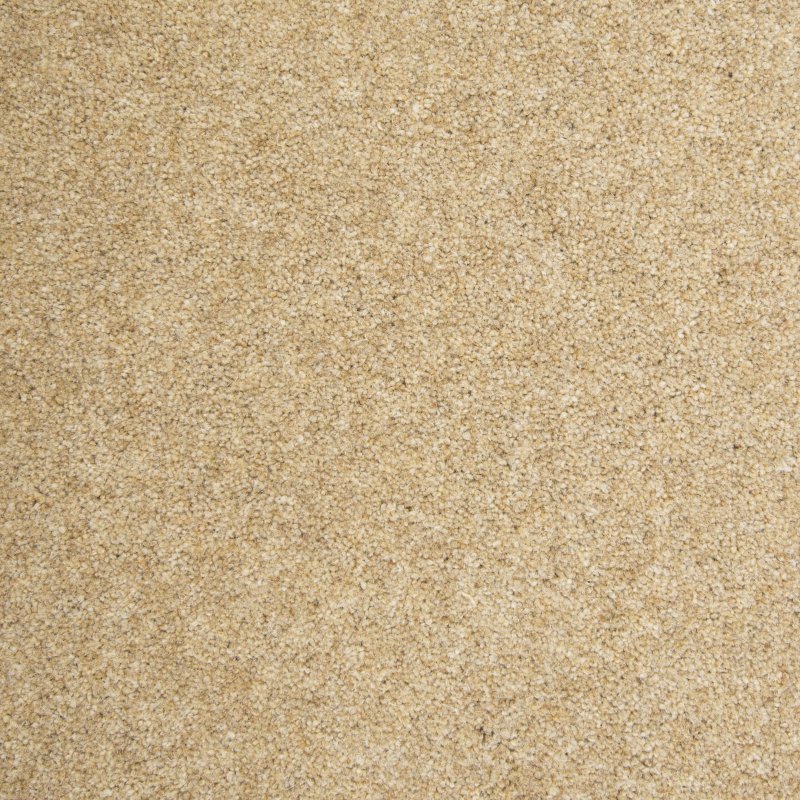 Penthouse Kerry in Biscuit Crumb Carpet