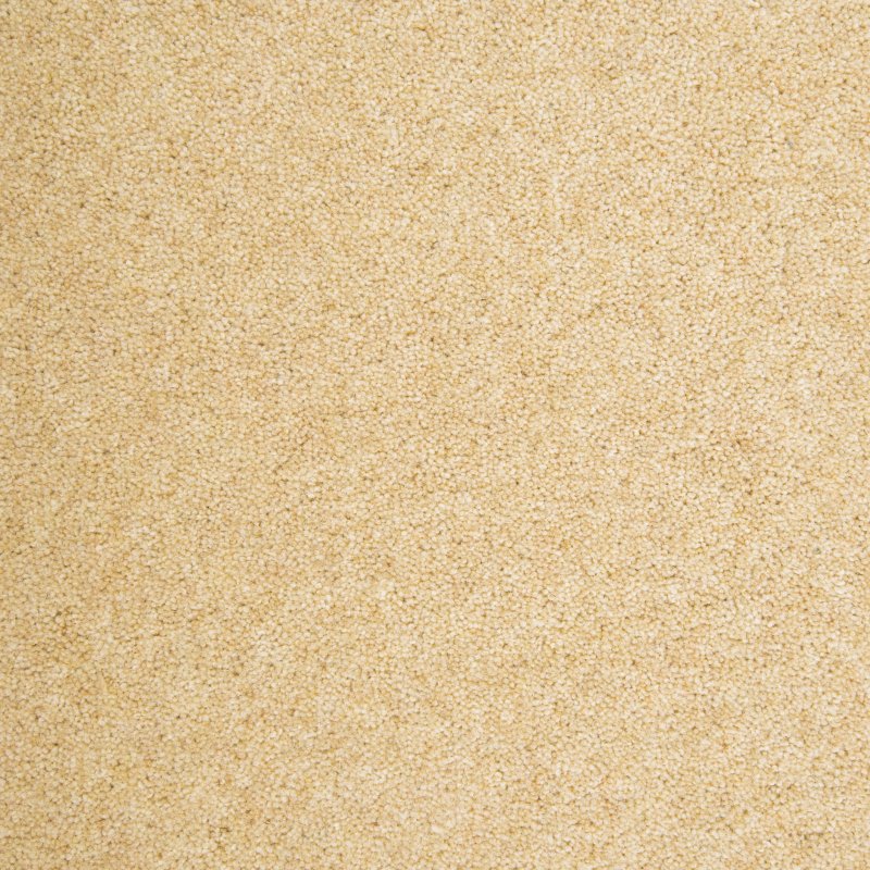 Penthouse Kerry in Morganite Carpet