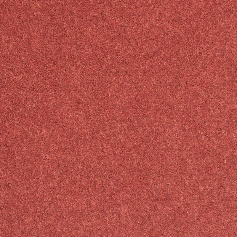 Penthouse Kerry in Party Hat Carpet