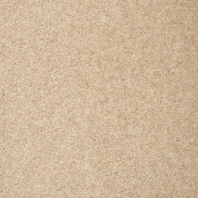 Penthouse Kerry in Warming Carpet