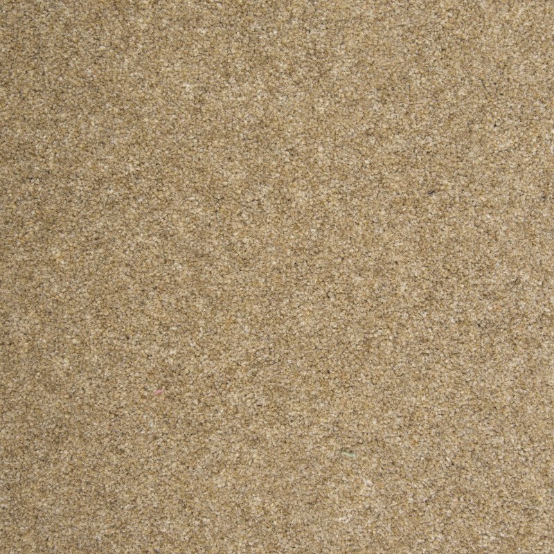 Penthouse Kerry in Wholemeal Carpet