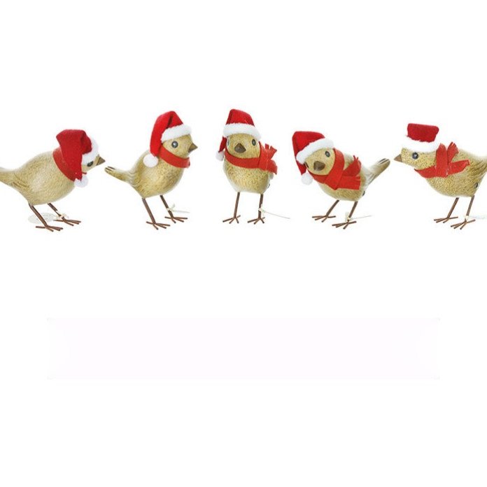 DCUK Traditional Christmas Birds image of all the birds on a white background