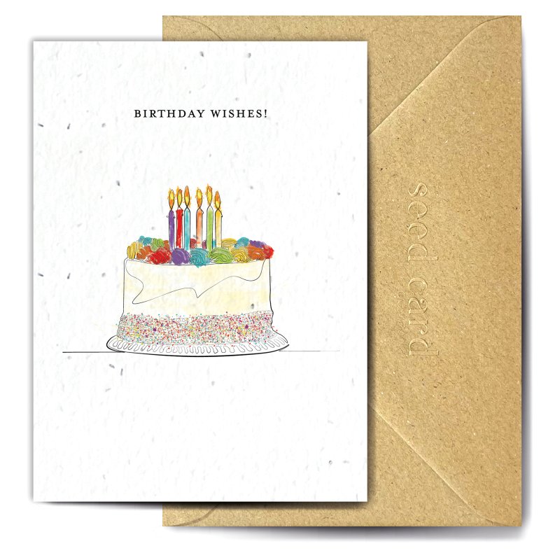 The Seed Card Company A Single Piece Of Cake Wasnt Enough Birthday Card image of the front of the card on a white background