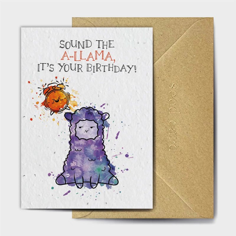 The Seed Card Company Llama Birthday Card image of the front of the card on a white background