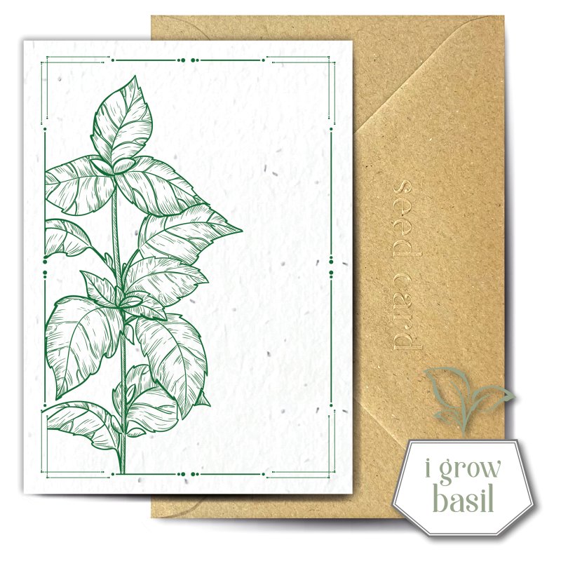 The Seed Card Company Basilico Greetings Card
