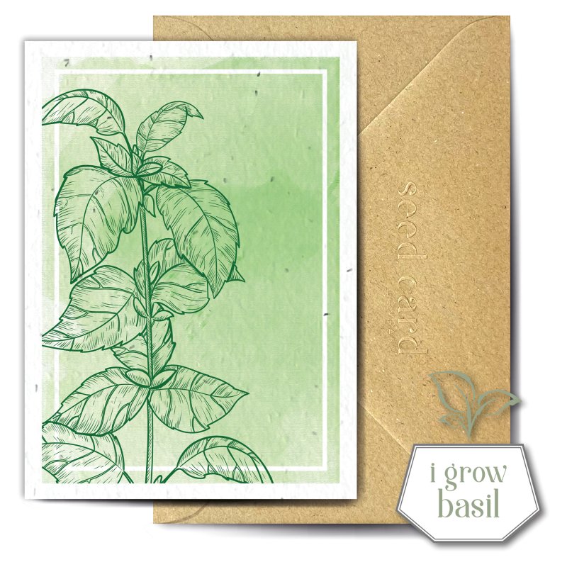 The Seed Card Company Basilika Greetings Card