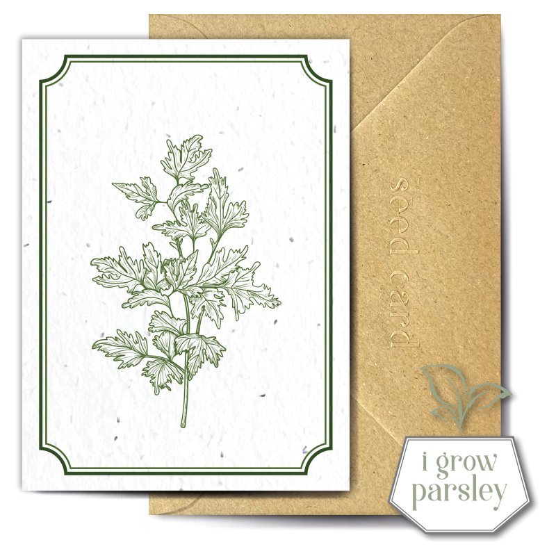The Seed Card Company Petersilie Greetings Card