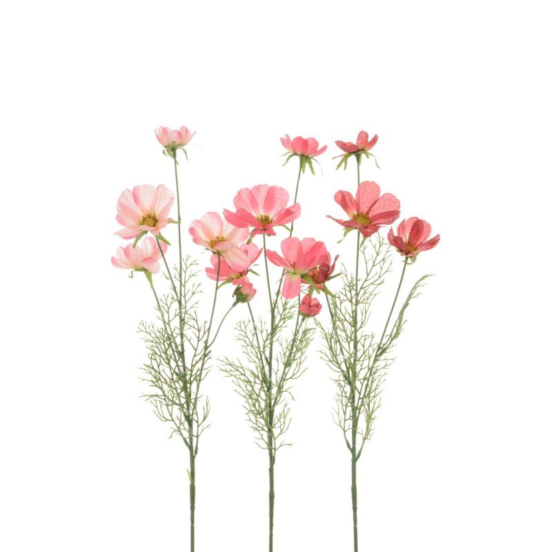 Floralsilk Rose Cosmos image of the flowers on a white background