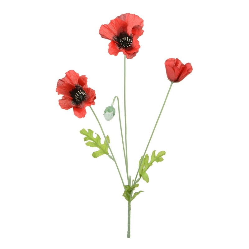Floralsilk Red Poppy image of the poppy flower on a white background