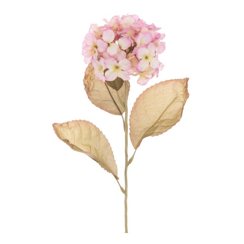 Floralsilk Pink Vintage Hydrangea Steam image of the flower on a white background