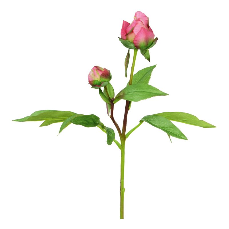 Floralsilk Dark Pink Peony Bud image of the peony bud on a white background