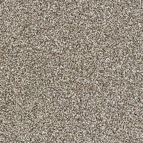 Abingdon Stainfree Rustique Carpet Hopsack