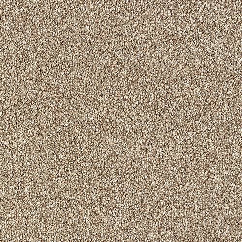 Abingdon Stainfree Rustique Carpet Rustic Charm