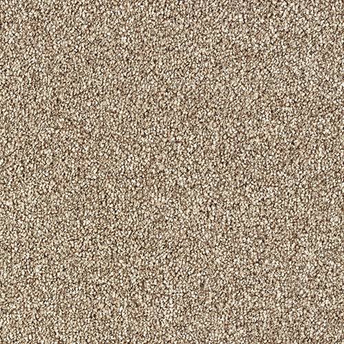 Abingdon Stainfree Rustique Twist Carpet Rustic Charm