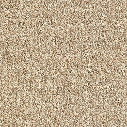 Abingdon Stainfree Rustique Twist Carpet Thatched Roof