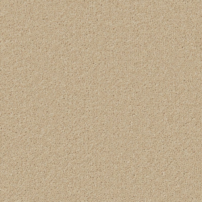 Norfolk & Co. Carpets Perivale Supreme Carpet in Fossil